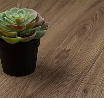 Kronopol Platinium Milo d3712 Орех Афина фото 2 | FLOORDEALER